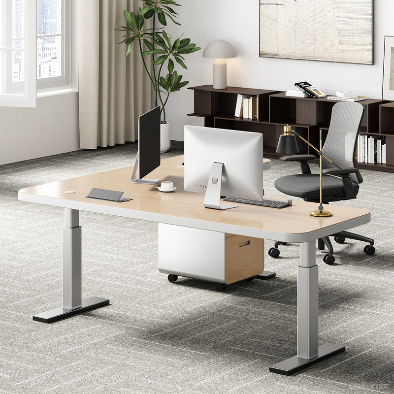 Executive Office Desk - Where Style Meets Productivity