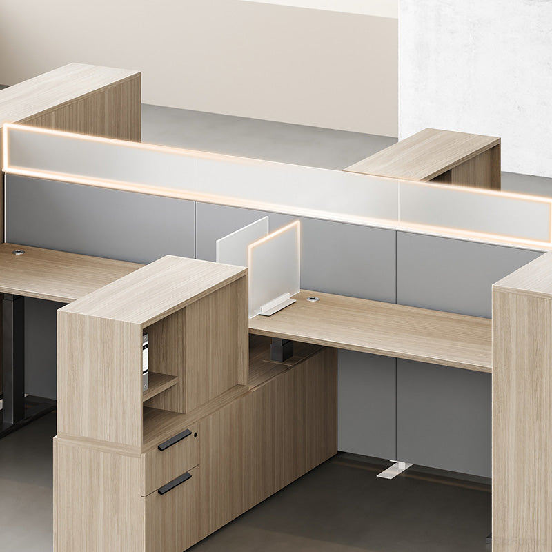 Privacy-Focused Dual Workspace